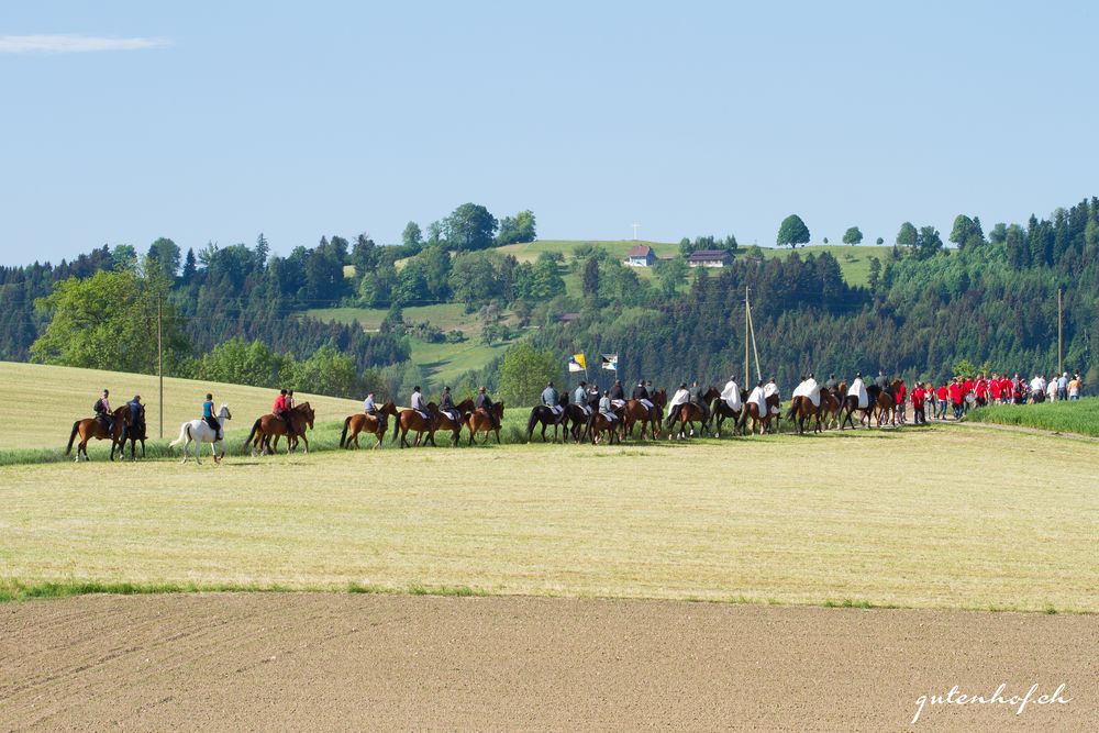 Auffahrtsumritt 2015 in Ettiswil