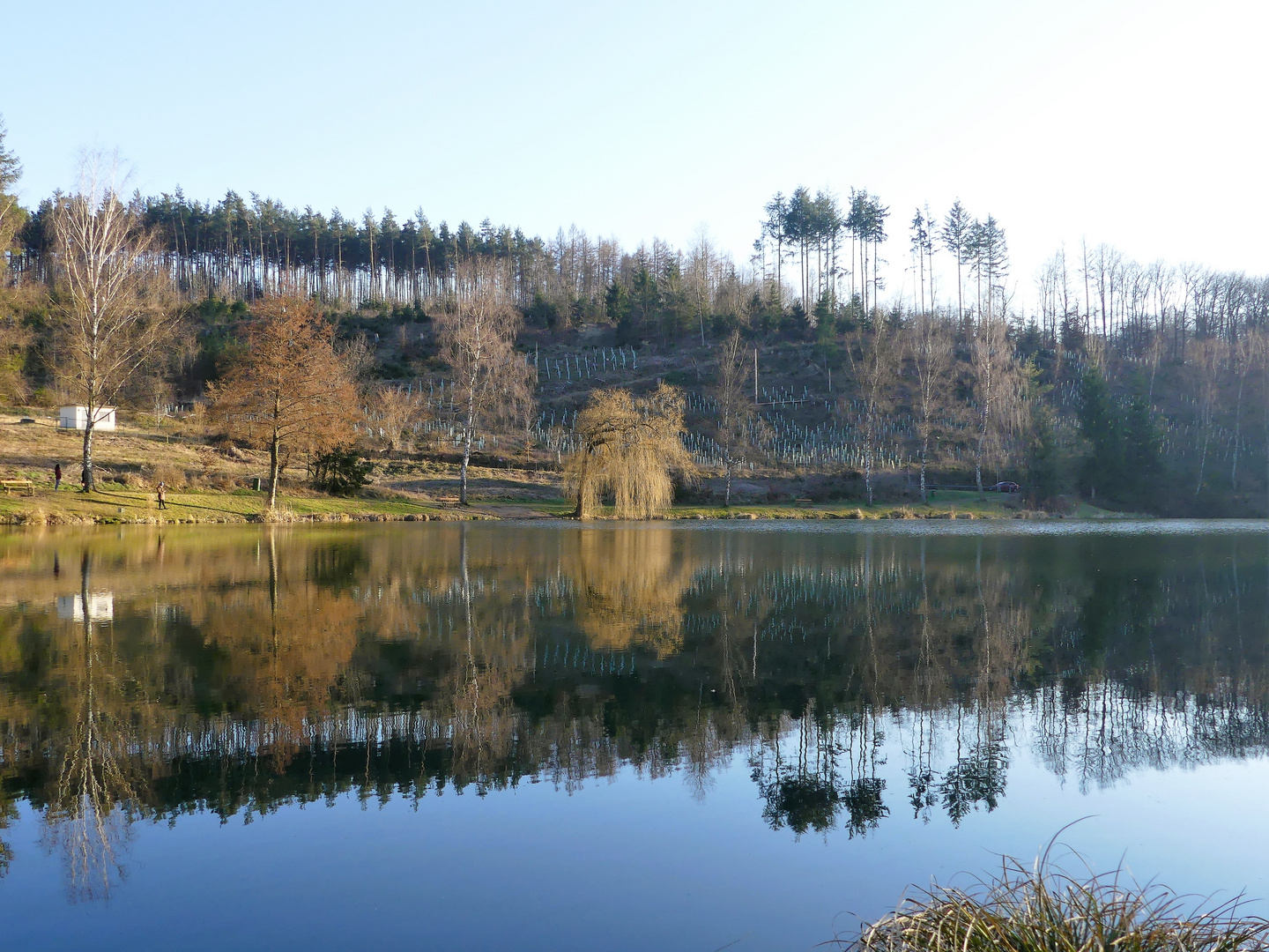 Aufforstung am Stausee