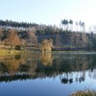 Aufforstung am Stausee