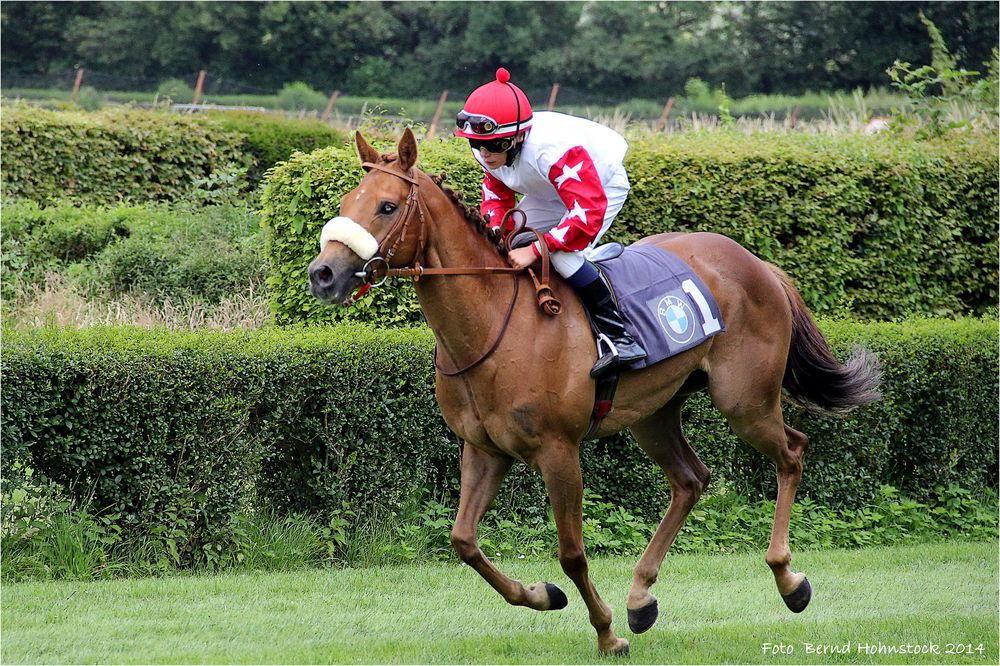 Aufgalopp ... Düsseldorf Grafenberg ....