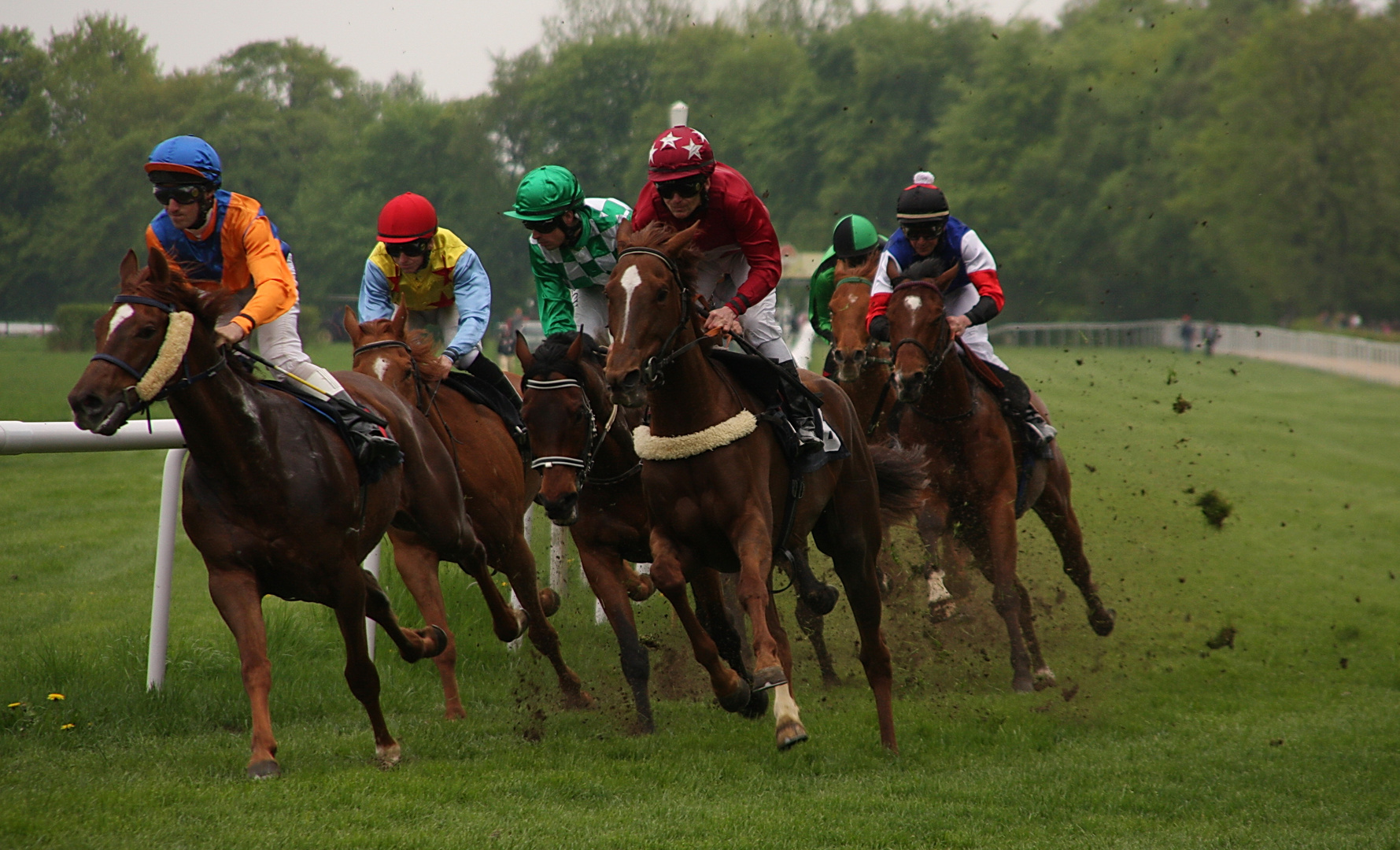 Aufgalopp in Dresden