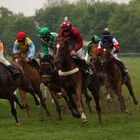 Aufgalopp in Dresden