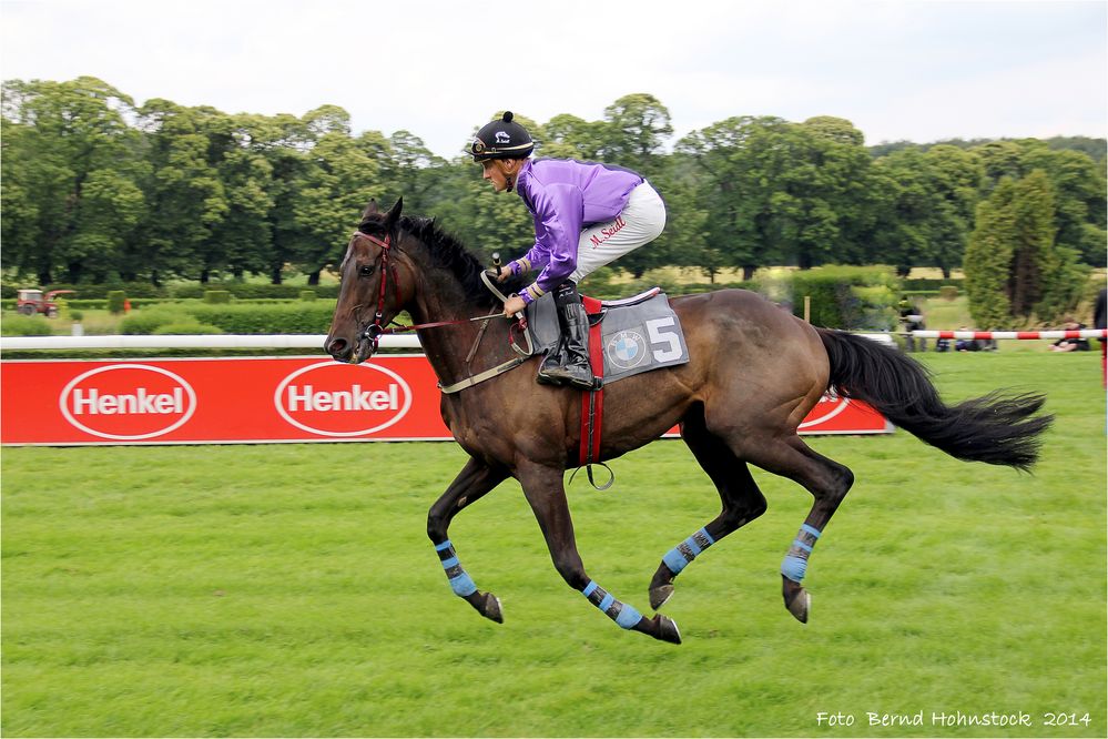 Aufgalopp ..... in Dssd. Grafenberg