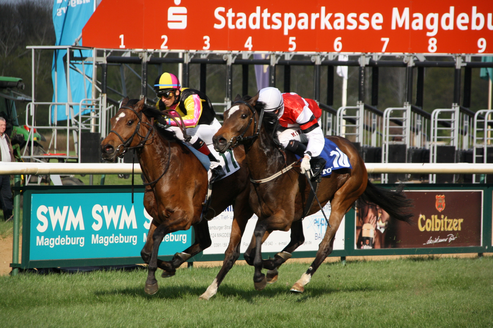 Aufgalopp Magdeburg 2011