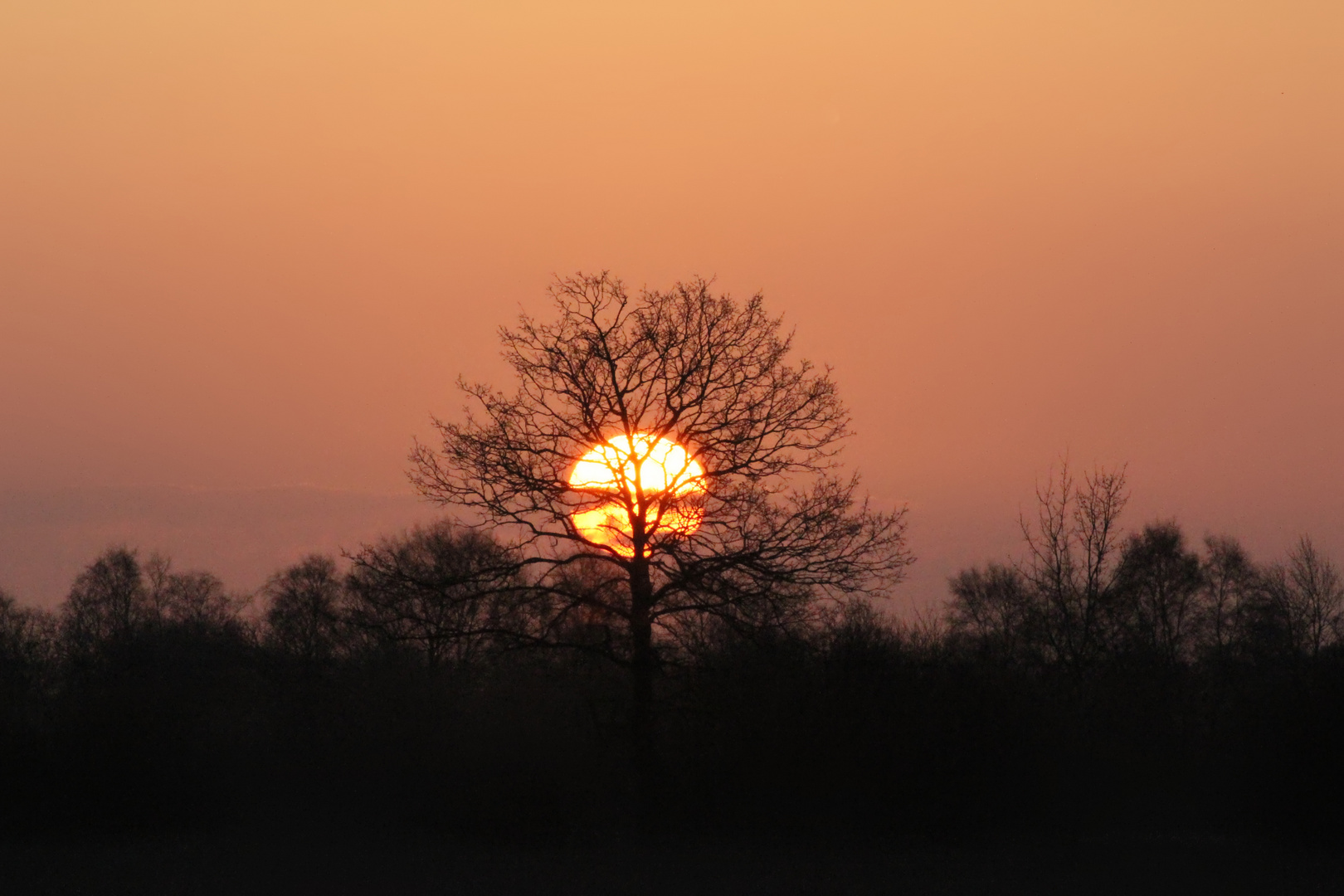 Aufgang der Winter-Sonne