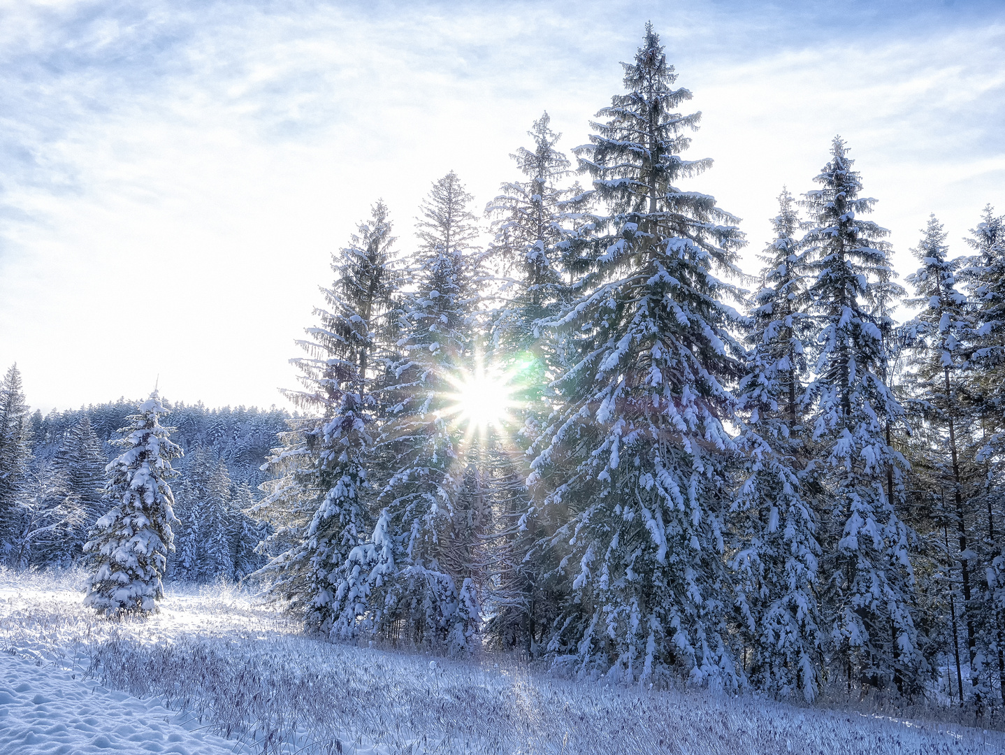 Aufgang des Sonnensterns