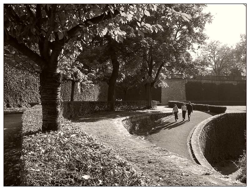 Aufgang im Hofgarten (Würzburg)