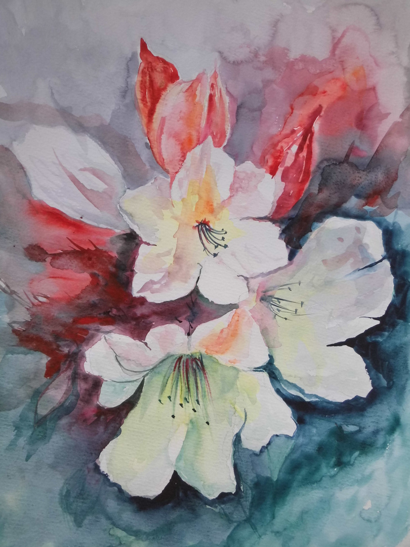 aufgeblüht Aquarell