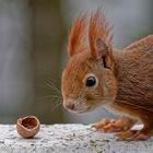 Aufgefuttert, gibt es einen Nachschlag???