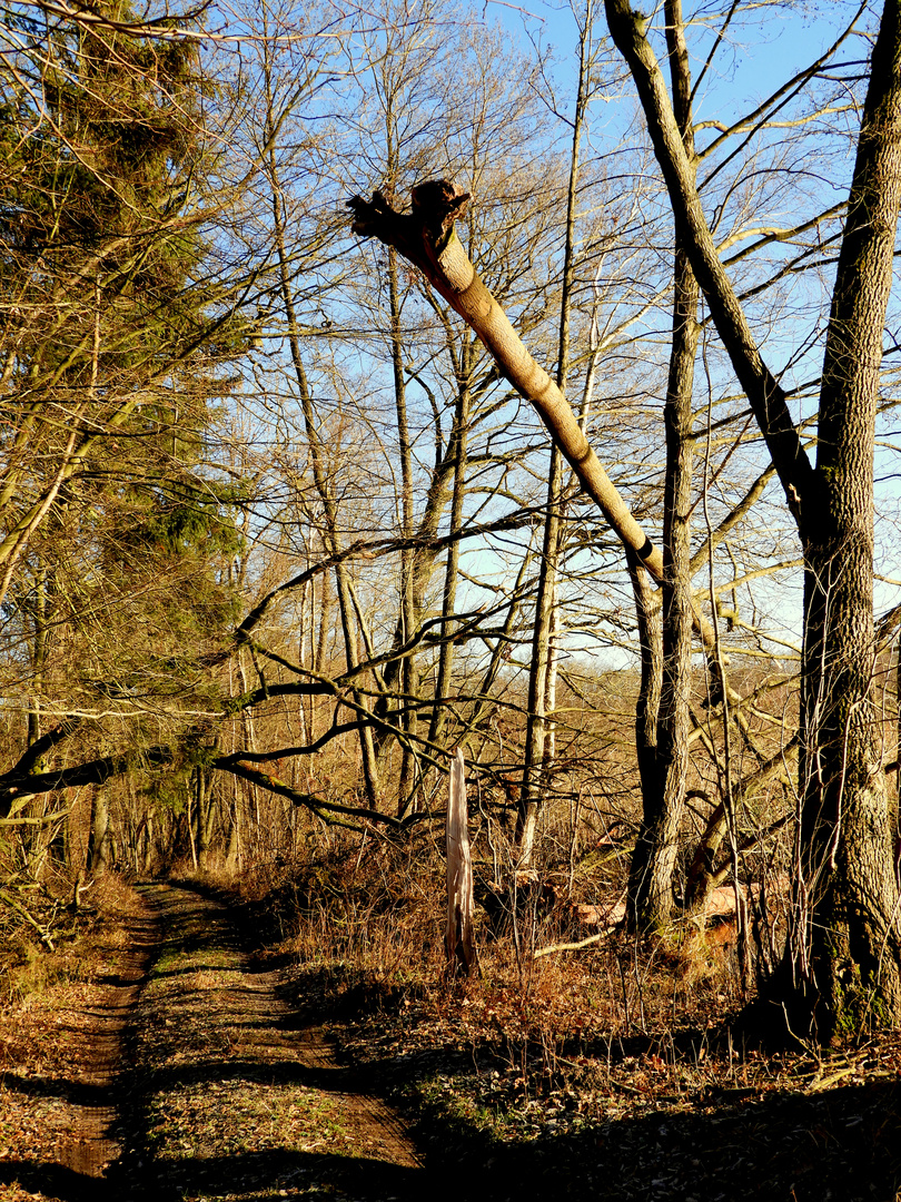 Aufgegabelt Aufgegabelt