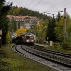 Aufgegangen .. [Südbahn-Exkursion 2015]