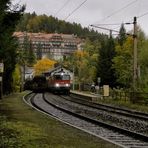 Aufgegangen .. [Südbahn-Exkursion 2015]