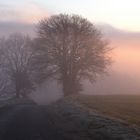 Aufgehende Sonne im Nebel