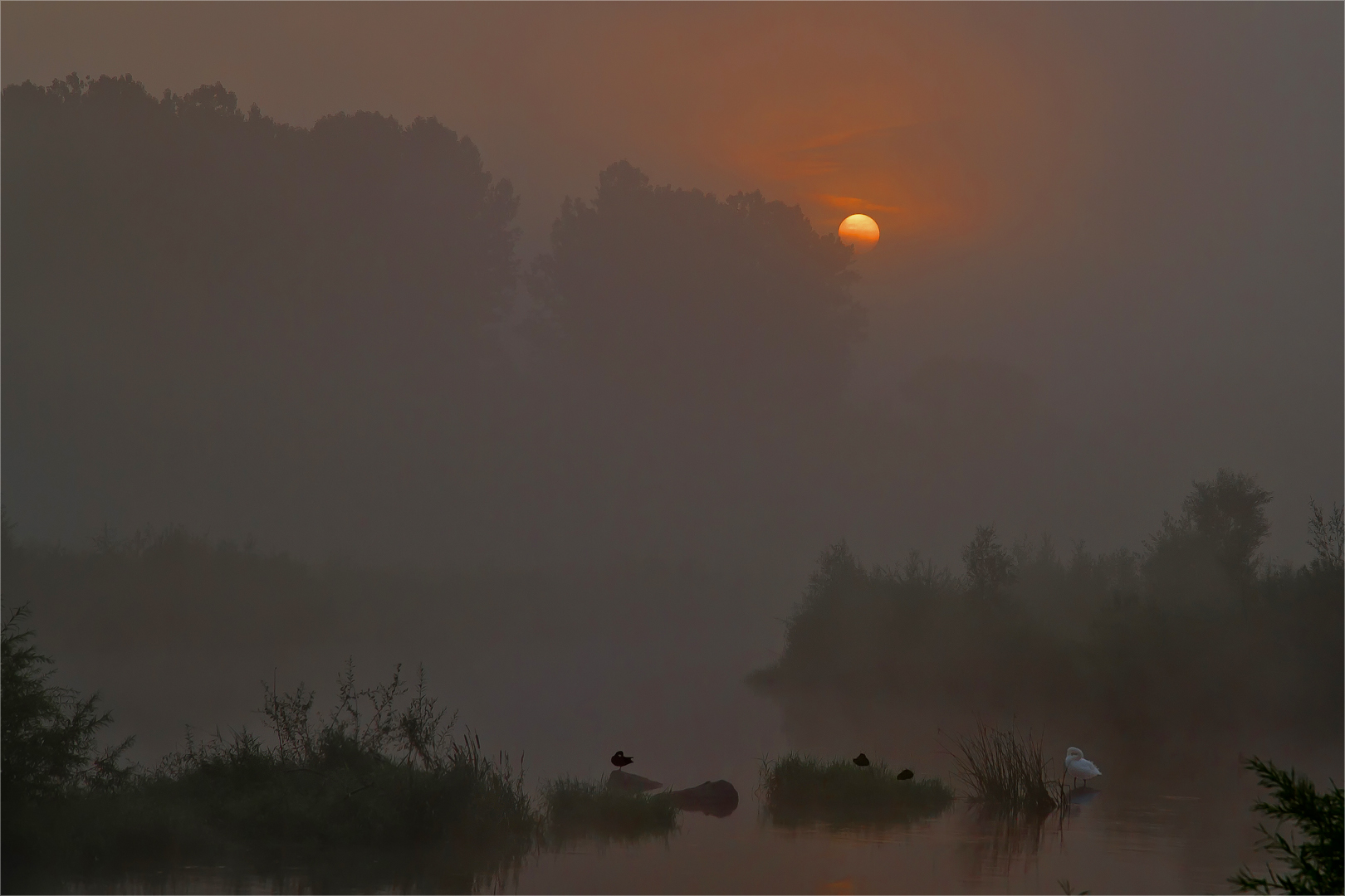 Aufgehende Sonne in den Lahnauen