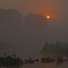 Aufgehende Sonne in den Lahnauen