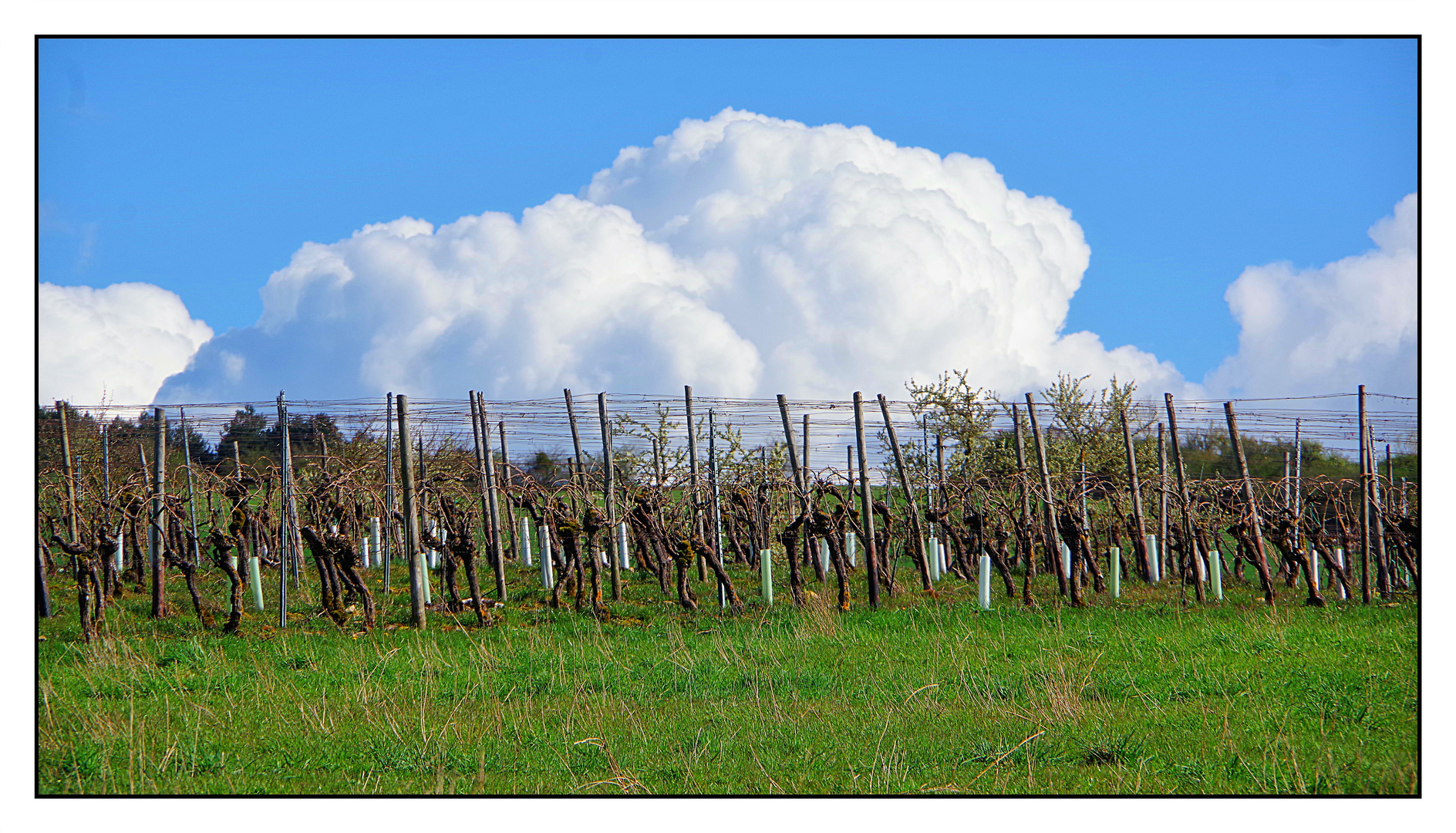 Aufgehende Wolke