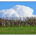 Aufgehende Wolke