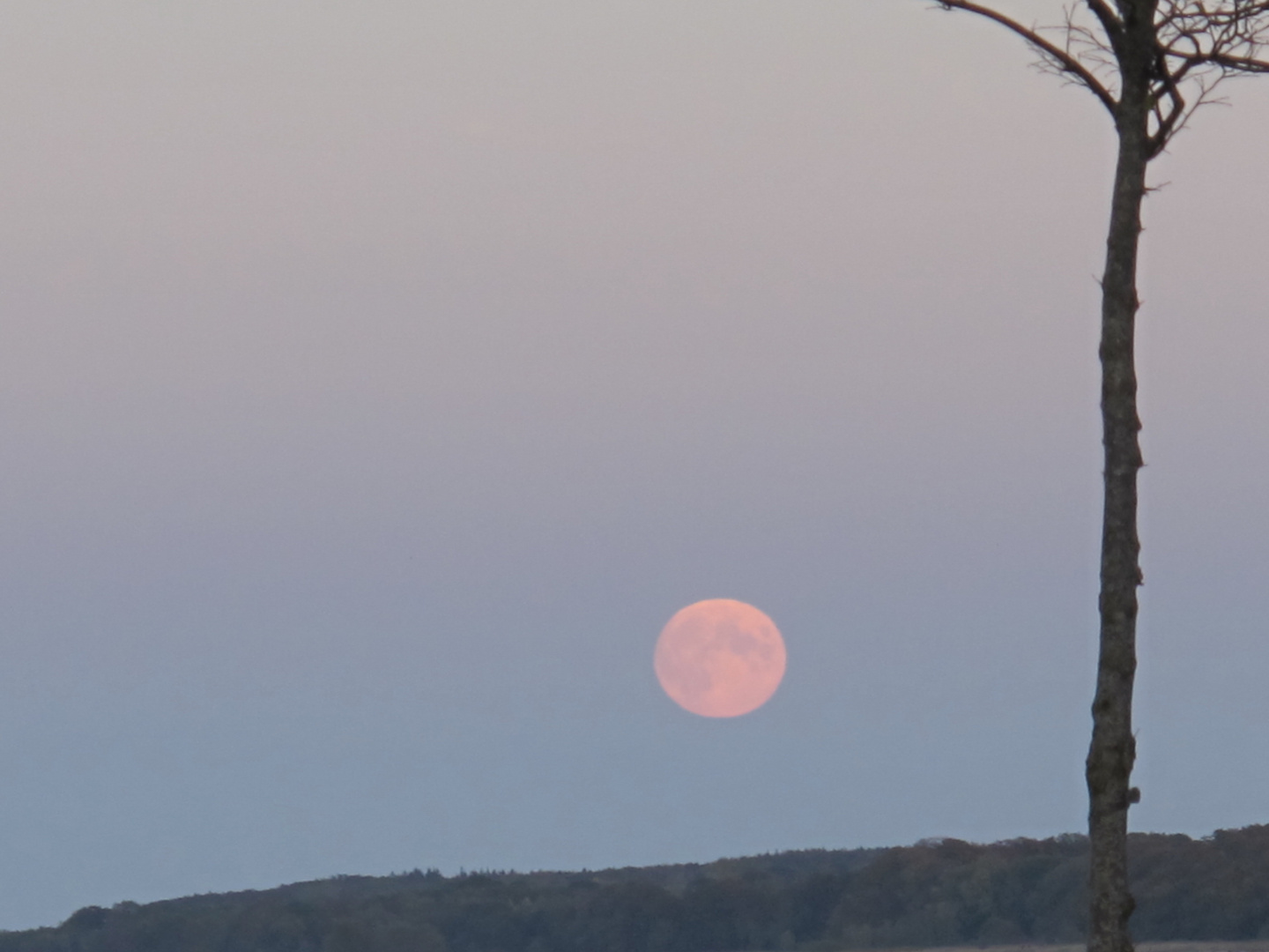 Aufgehender Mond