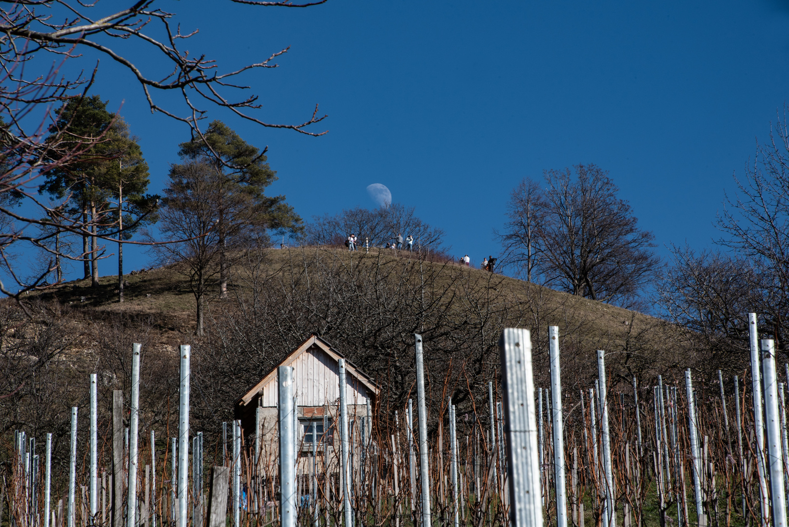 aufgehender Mond am blauen Himmel