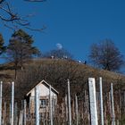 aufgehender Mond am blauen Himmel