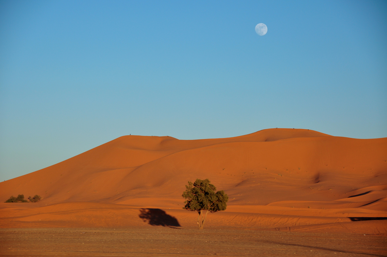 Aufgehender Mond in der Marokkanischen Sahara