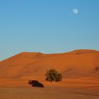 Aufgehender Mond in der Marokkanischen Sahara