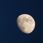 Aufgehender Mond über dere Hammer Lippeaue