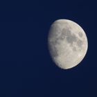 Aufgehender Mond über Hamm Werries, 10.08.2019