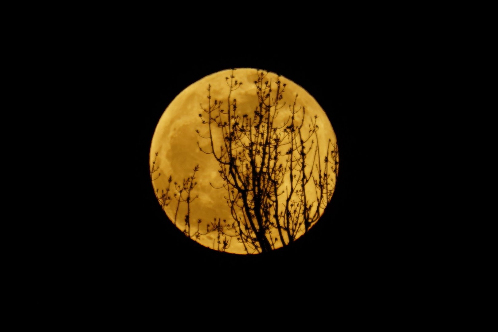 aufgehender Vollmond 16.4.22