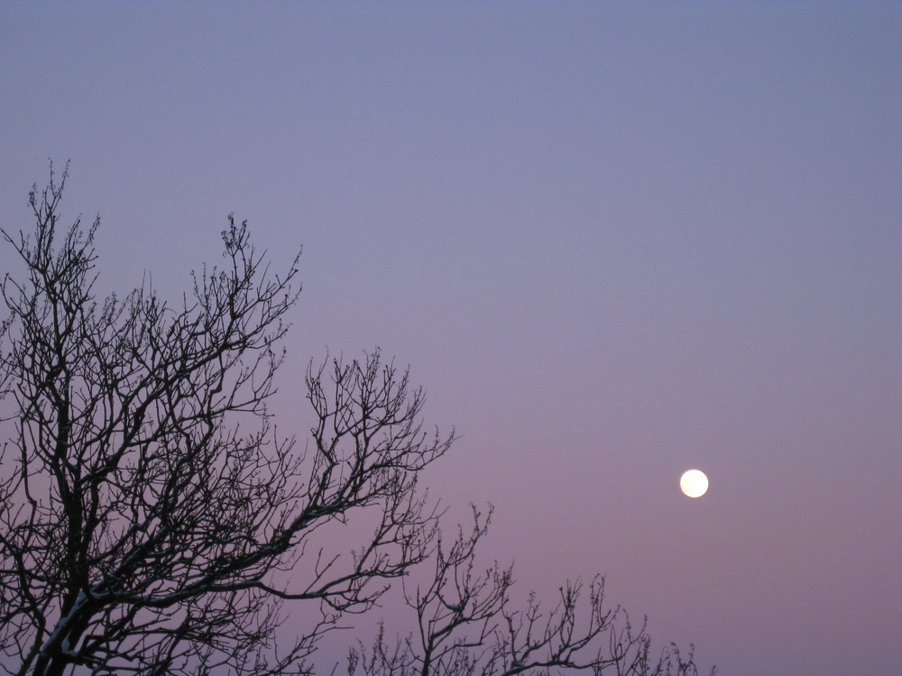 Aufgehender Vollmond