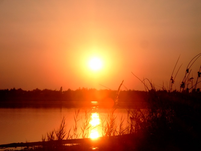 Aufgehene Sonne