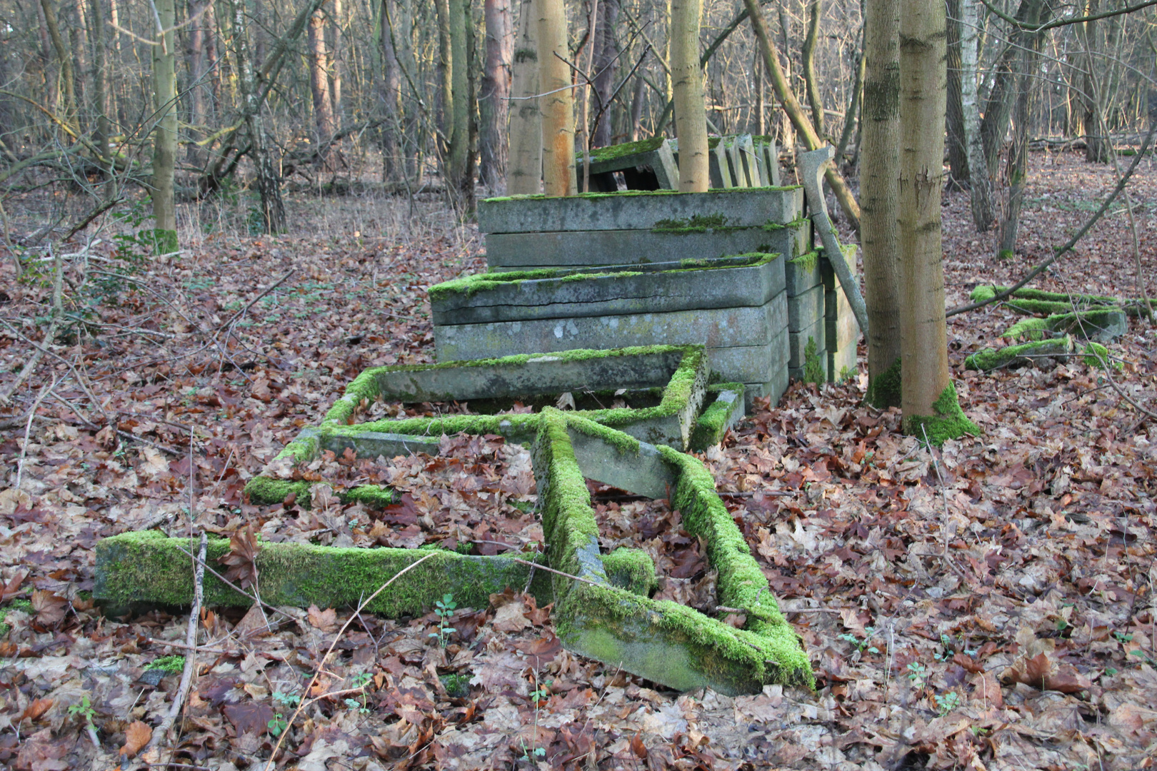 Aufgelassener Friedhof / 4