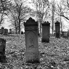 Aufgelassener Friedhof in Ayenwolde