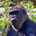 Aufgen. im ZOO Duisburg