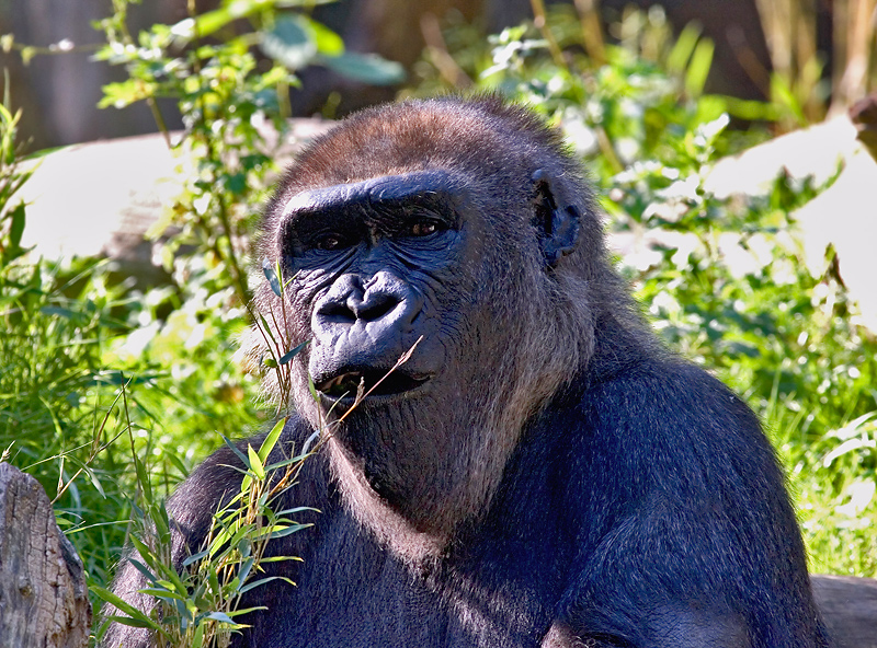 Aufgen. im ZOO Duisburg