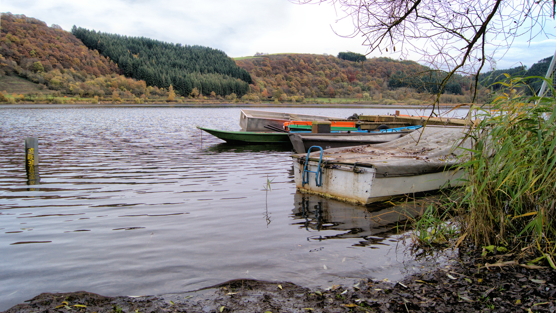Aufgenommen am Meerfelder Maar Foto & Bild landschaft, jahreszeiten