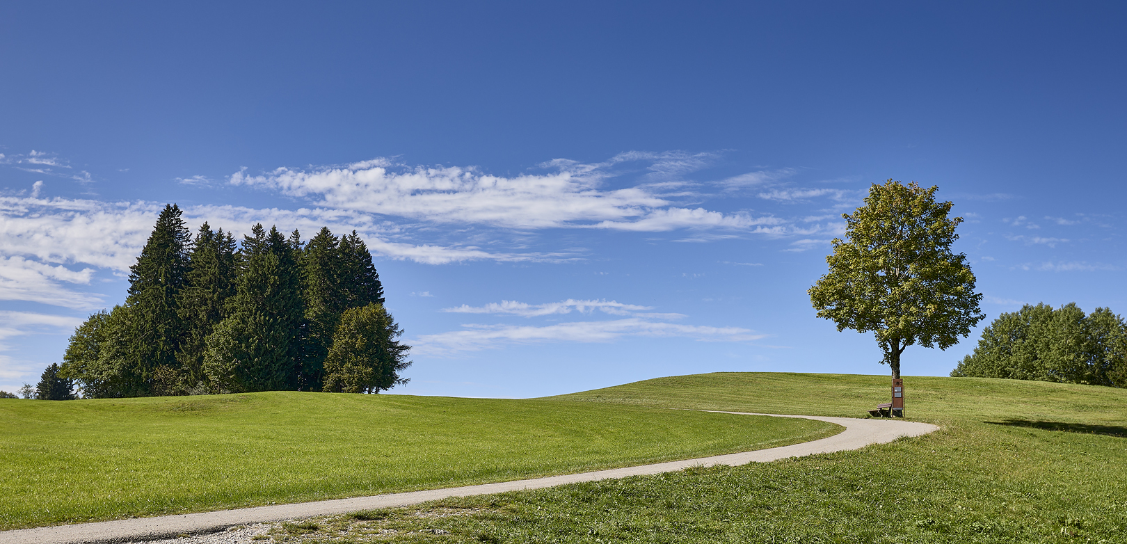 Aufgenommen bei Oy-Mittelberg (Allgäu)