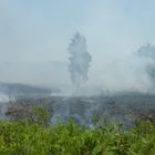 Aufgenommen beim Wald und Venn-Brand in Gronau,Kreis Borken,NRW