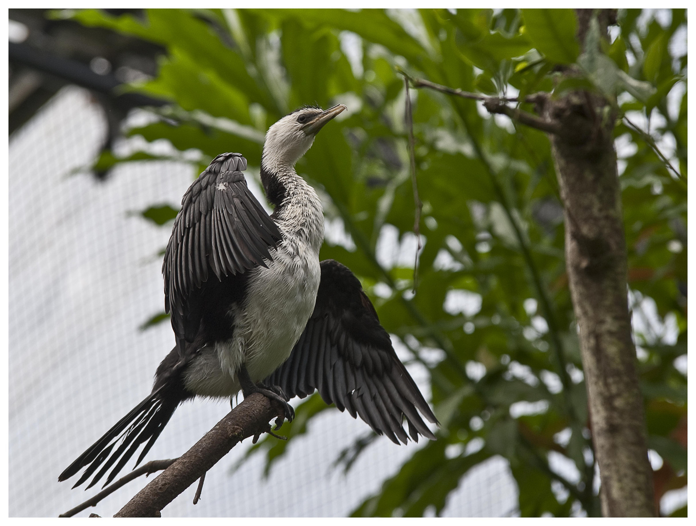 Aufgenommen im Burgers Zoo