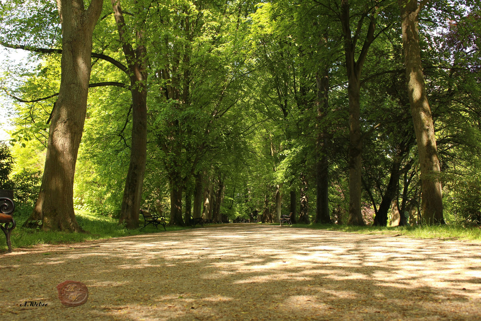 Aufgenommen im Rombergpark in Dortmund