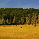 Aufgeräumtes Feld in der Provence