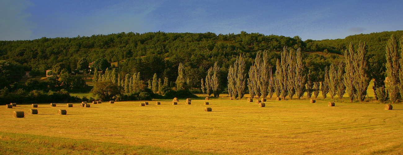 Aufgeräumtes Feld in der Provence