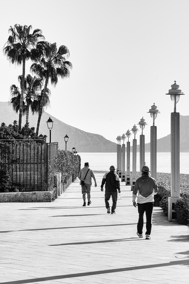 Aufgereiht [auf der Strandpromenade]