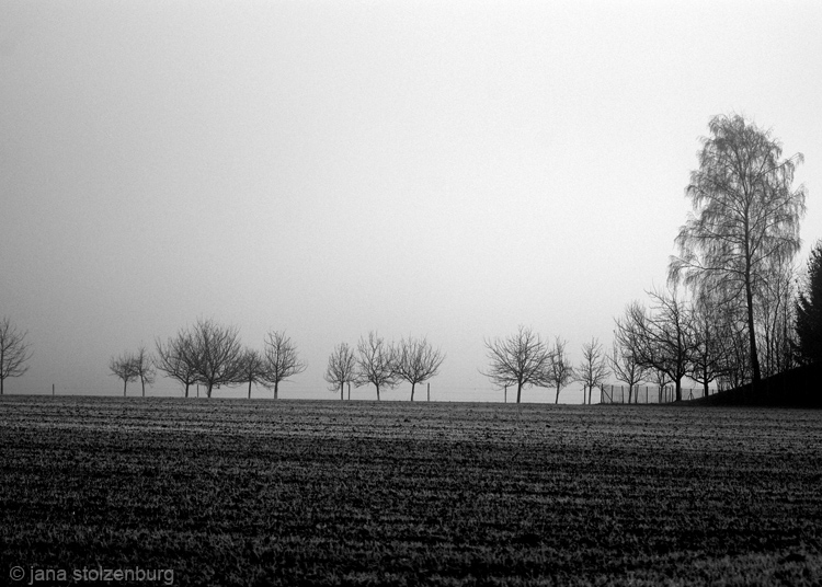 aufgereiht im Nebel