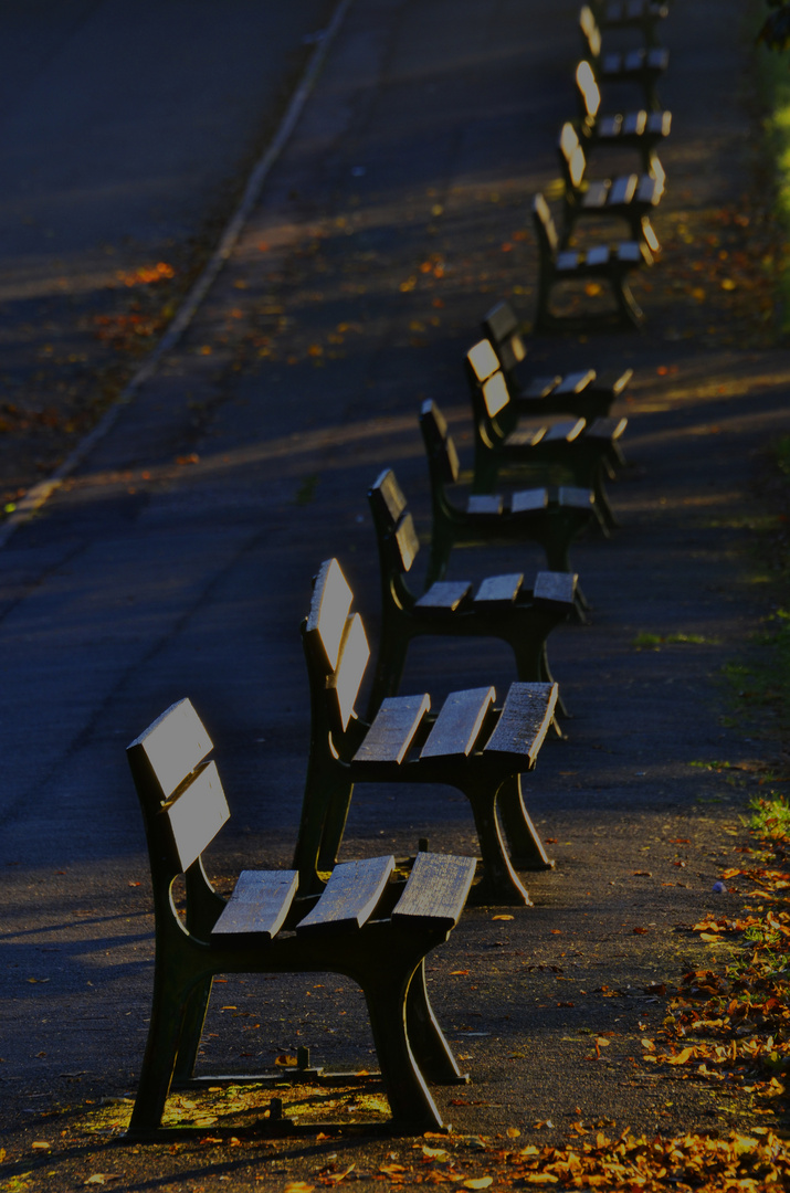 aufgereihte Parkbänke