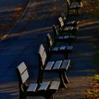 aufgereihte Parkbänke