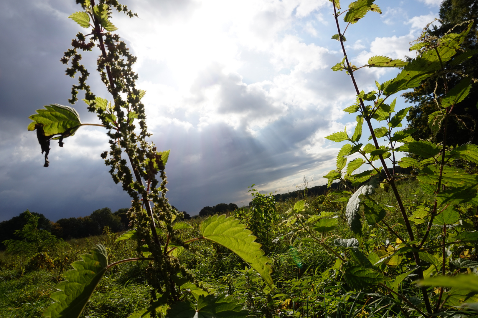 Aufgerissener Himmel