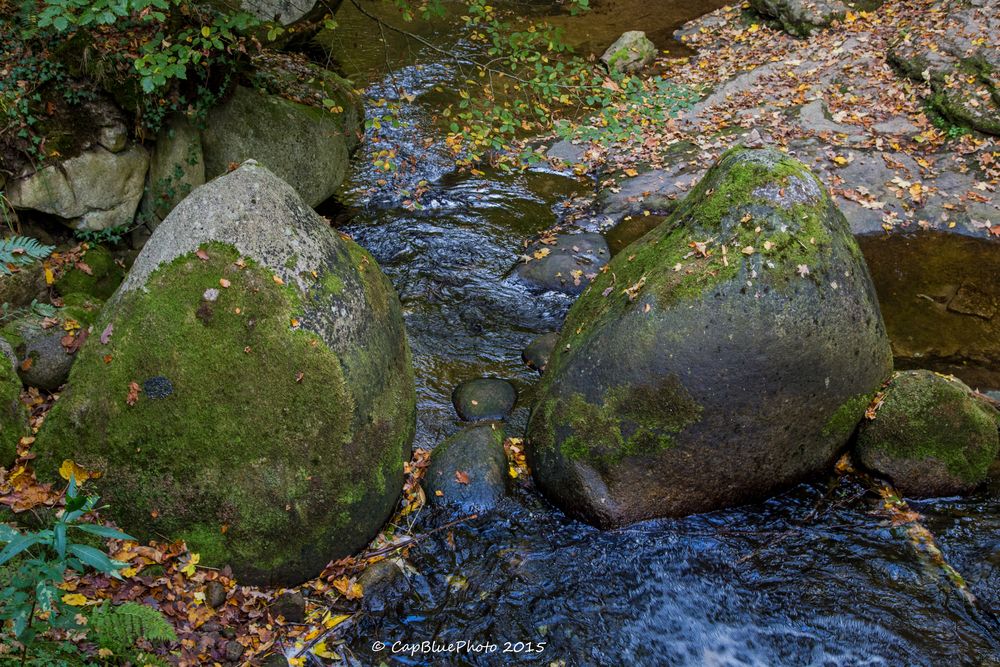 Aufgestauter Grobbach