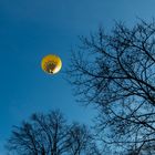 Aufgestiegen - Dem Himmel entgegen (2)