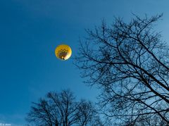 Aufgestiegen - Dem Himmel entgegen (2)